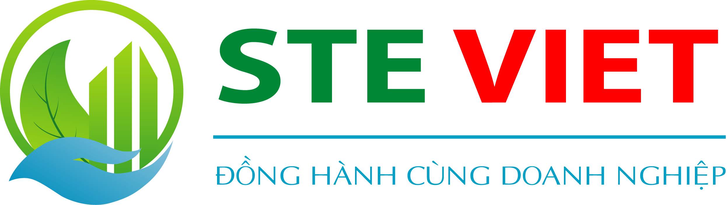 Công ty STE Việt